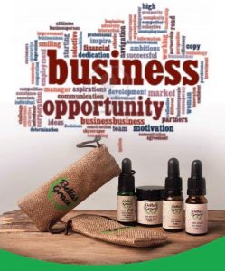 CBD wholesaler