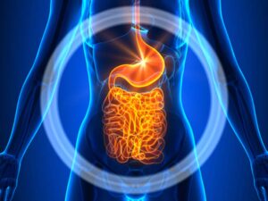 CBD and Irritable Bowel Syndrome 8